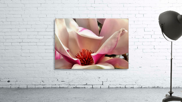 Magnolia Macro Wall Preview