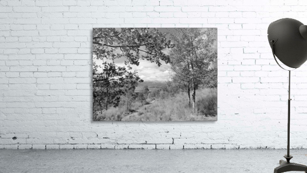 DSC01173 Wall Preview