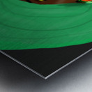 Jamaican Woman in Green Head Wrap with Ackee Earrings Metal print