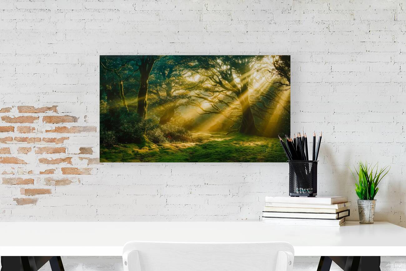 Abstract Nature Canvas Print - Modern Wall Art with Vibrant Colors & Dynamic Shapes Reproduction