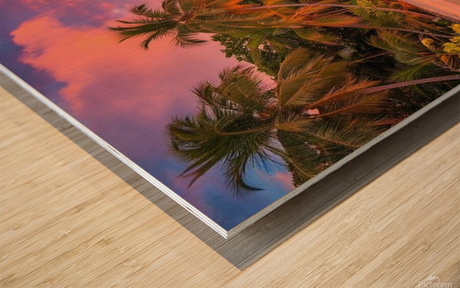 Enchanted Forest Canvas Print - Magical & Mystical Nature Wall Art Wood print