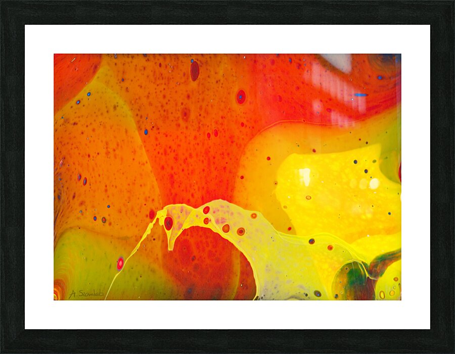 Mango Picture Frame print