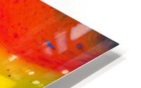 Mango HD Metal print