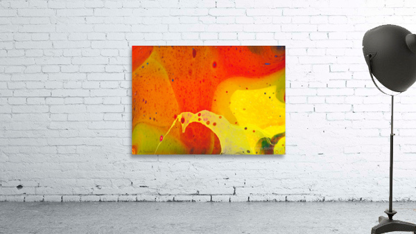 Mango Wall Preview
