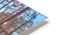 Bridge In A Garden HD Metal print