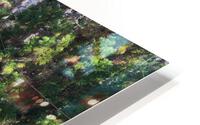 Reflections  HD Metal print