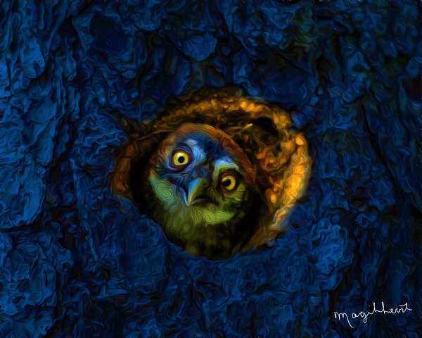 1AFD92C9 F65D 48EF 9B4C 4F900C869EE0 Digital Download