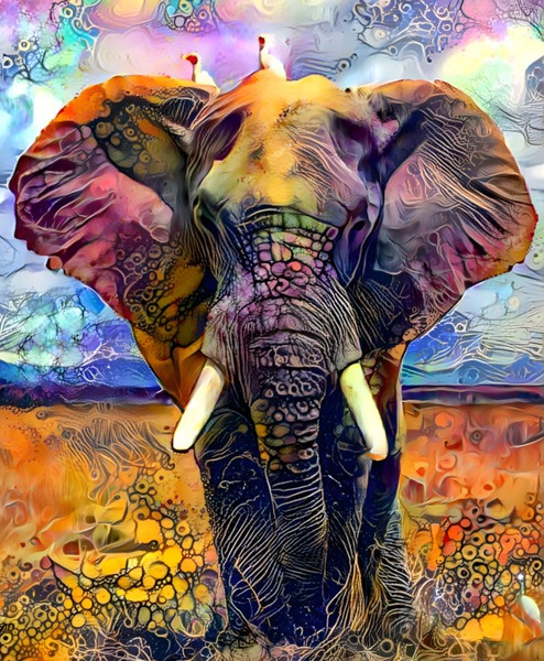 C05AF4AD D36D 4936 9773 DB86A78B97BA Digital Download