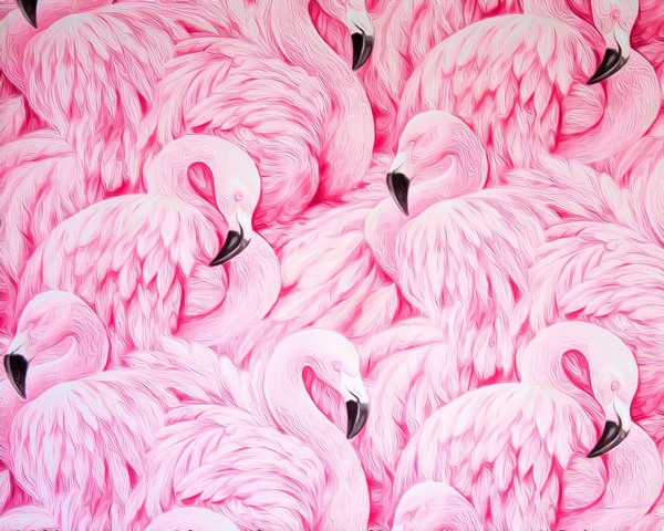 D43C30E2 1A02 41D3 AFE2 13F3C22E4A4D Digital Download