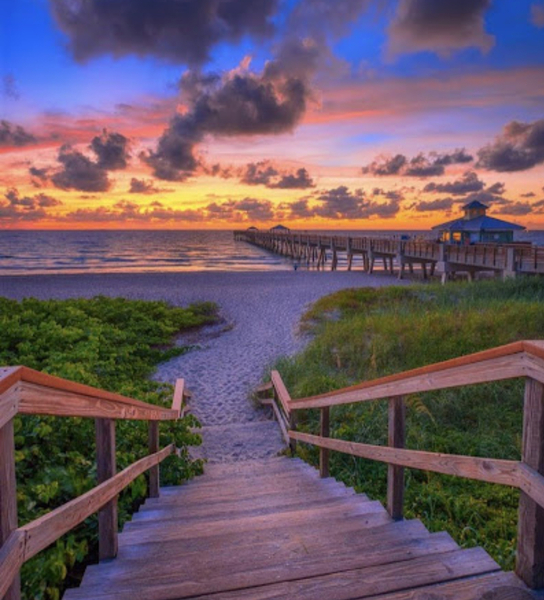 IMG 1847 Digital Download