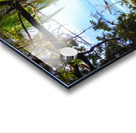 1DE2778D 672E 4C39 B1B3 DCB35613B489 Acrylic print