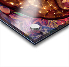 Diving Dolphin Acrylic print