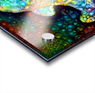 Bubbles The Baby Dolphin Acrylic print