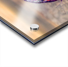 Butterfly On Beach Acrylic print