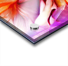 Chakra Love Flower Acrylic print