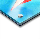 65BD187B 74E4 4BEA 9DD6 78FE6DA570ED Acrylic print