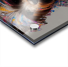 7FC34D4C C4DE 44A7 882A 722413C6D9FC Acrylic print