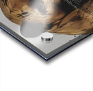 3686E5DF C5D9 466A A323 7E4C990EF927 Acrylic print