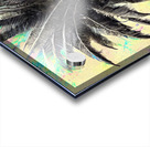 1590A281 FF86 4FC5 B7A6 FCCC1F2D6971 Acrylic print