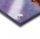 51CCE103 3F4F 41F8 BCC9 F18DE05DB8D9 Acrylic print