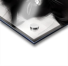 9F2D7AA0 5718 4B4C 9A16 F453B02915EA Acrylic print