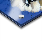 Ladybug Flower Acrylic print