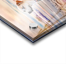 IMG 0075 Acrylic print