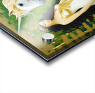 IMG 6586 Acrylic print