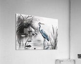 Gorgeous Blue Heron Oct 24 2025 at 9 34 18 AM Acrylic Print