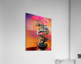 Japanese Bonsai Tree Acrylic Print