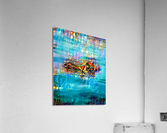 Hidden Dolphins  Acrylic Print