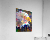 7947915A ACBA 4D91 B94C 0C3FBEA8F031 Acrylic Print