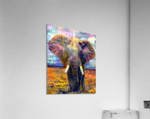 C05AF4AD D36D 4936 9773 DB86A78B97BA Acrylic Print