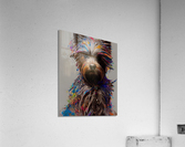 7FC34D4C C4DE 44A7 882A 722413C6D9FC Acrylic Print