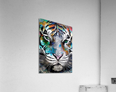 172198CF 7242 491B B483 9A37BB5340CE Acrylic Print