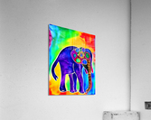 6785A609 90AD 474F 93C6 45CC03E90716 Acrylic Print