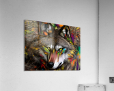 E1F69F18 1C54 43A5 AD6E F1226AC34B96 Acrylic Print