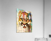 7EBF5358 5E4C 4FE4 AAF8 0C194ACC5C94 Acrylic Print