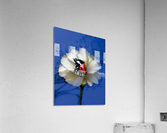 Ladybug Flower Acrylic Print