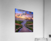 IMG 1847 Acrylic Print