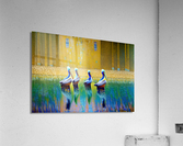 IMG 0480 Acrylic Print