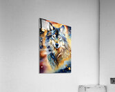 IMG 0682 Acrylic Print