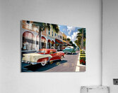 IMG 6004 Acrylic Print