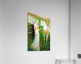 IMG 6586 Acrylic Print