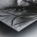 Gorgeous Blue Heron Oct 24 2025 at 9 34 18 AM Metal print