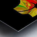 60CC2D8C 6520 4F26 BCDF BA515F50DDCF Metal print