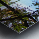 1DE2778D 672E 4C39 B1B3 DCB35613B489 Metal print