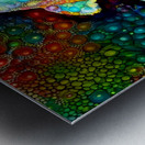 Bubbles The Baby Dolphin Metal print