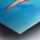 65BD187B 74E4 4BEA 9DD6 78FE6DA570ED Metal print