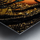 E45EDBD7 A9E4 47E0 8EEA 53951746B1F5 Metal print